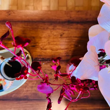 Cozy Modern Retreat - 2 Bedroom Steps From Piata Victoriei Apartment Bucharest