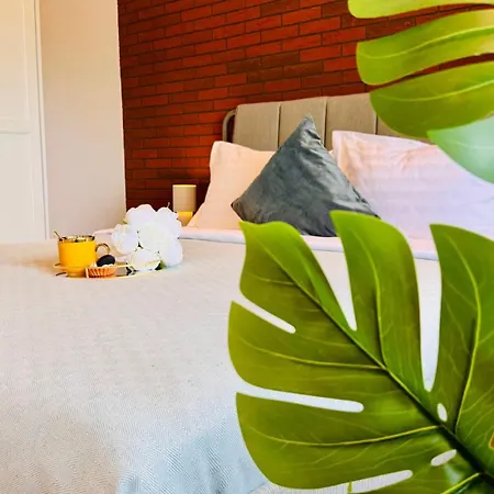 Cozy Modern Retreat - 2 Bedroom Steps From Piata Victoriei