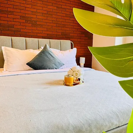 Cozy Modern Retreat - 2 Bedroom Steps From Piata Victoriei Appartement Boekarest